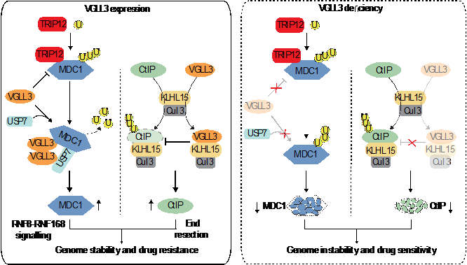 南宫娱乐·NG28(中国)官方网站