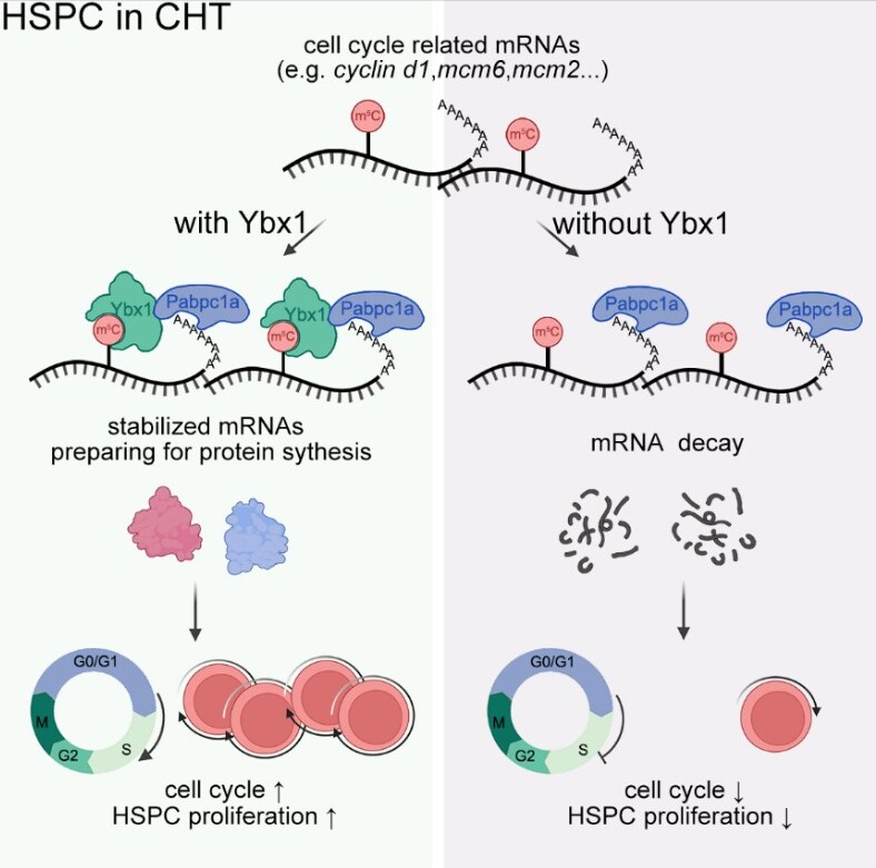 南宫娱乐·NG28(中国)官方网站