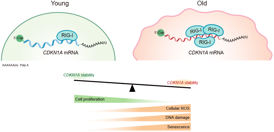南宫娱乐·NG28(中国)官方网站