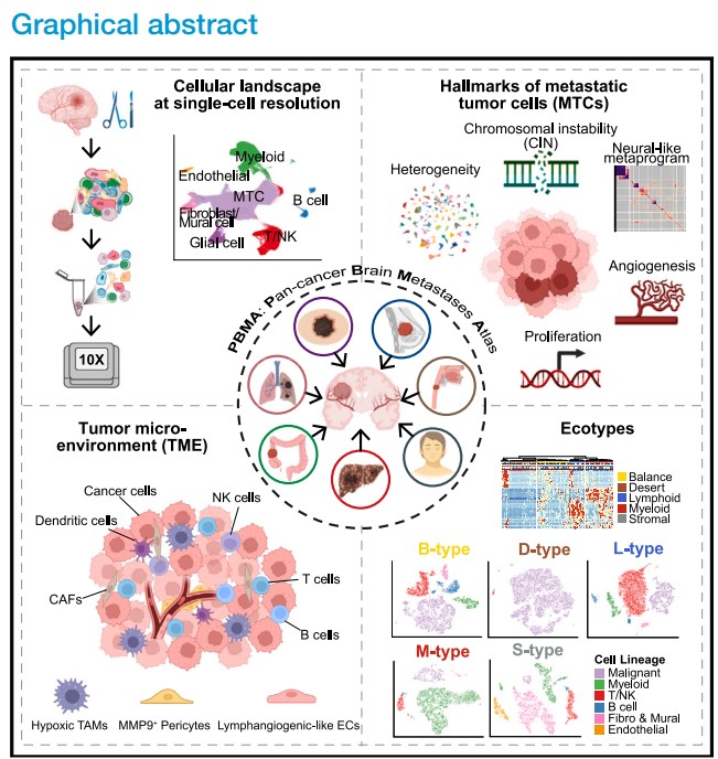 南宫娱乐·NG28(中国)官方网站