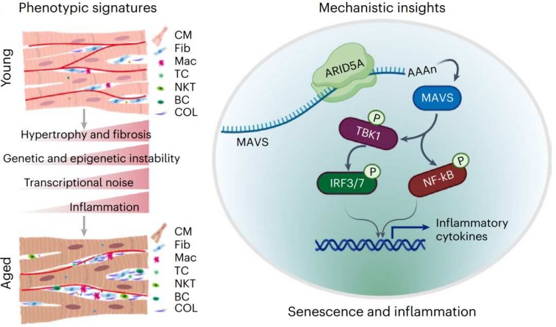 南宫娱乐·NG28(中国)官方网站