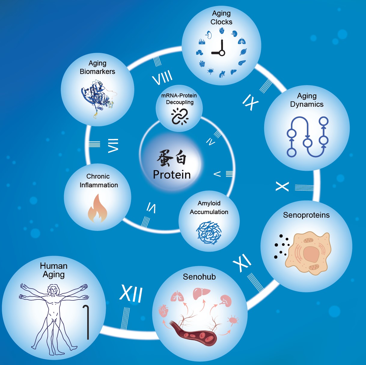 南宫娱乐·NG28(中国)官方网站