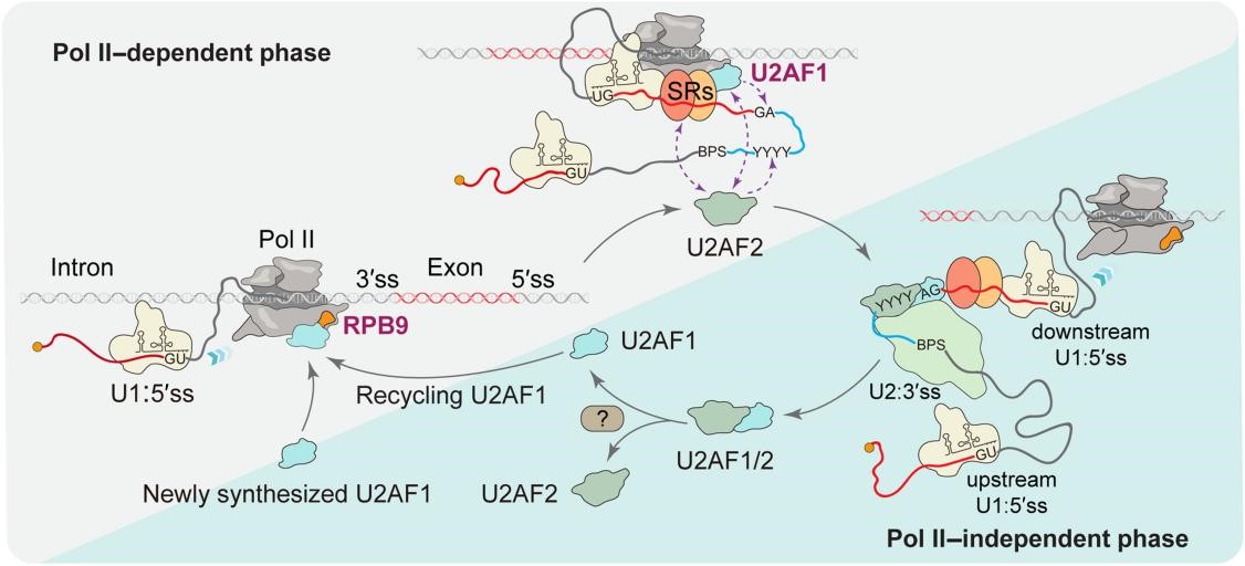 南宫娱乐·NG28(中国)官方网站