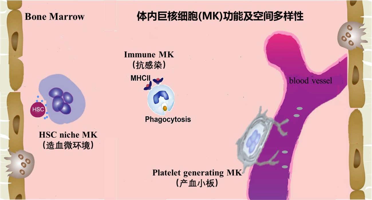 南宫娱乐·NG28(中国)官方网站