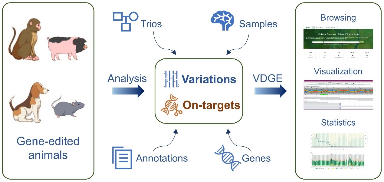 南宫娱乐·NG28(中国)官方网站