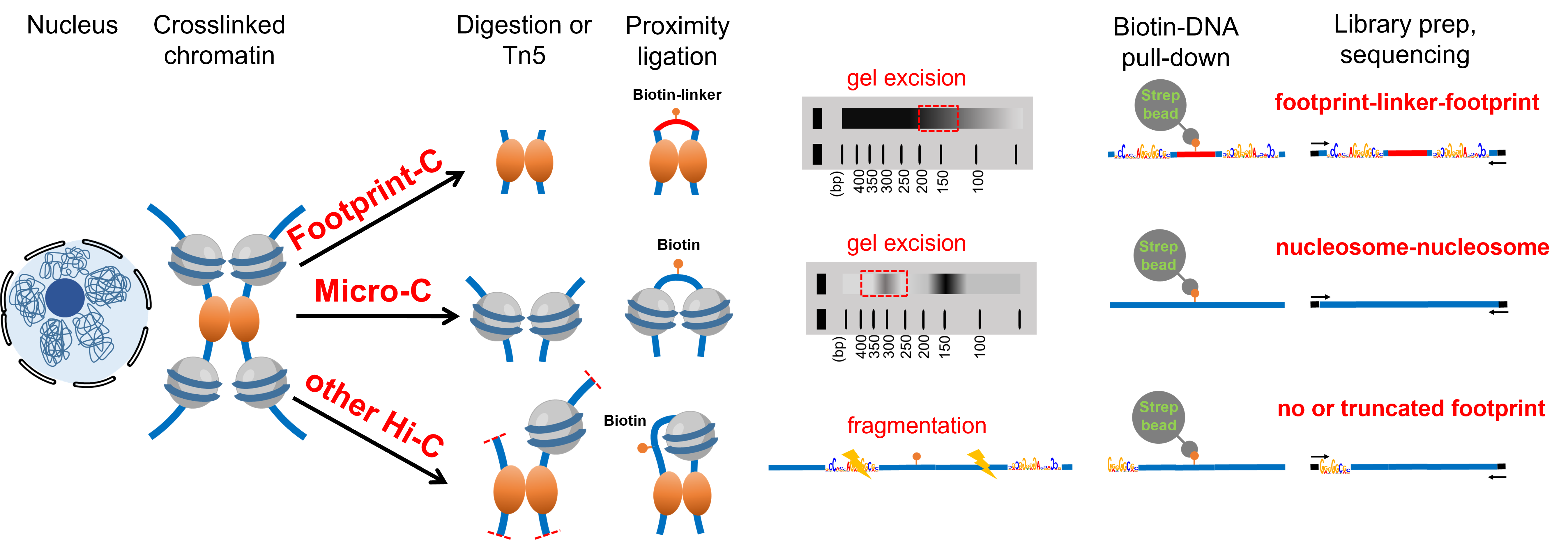 南宫娱乐·NG28(中国)官方网站