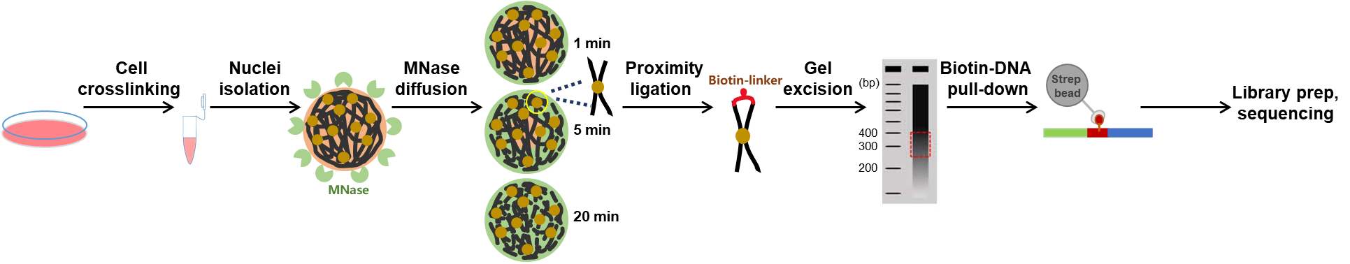 南宫娱乐·NG28(中国)官方网站