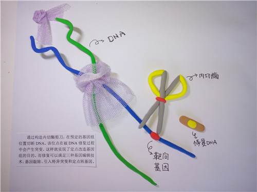 南宫娱乐·NG28(中国)官方网站