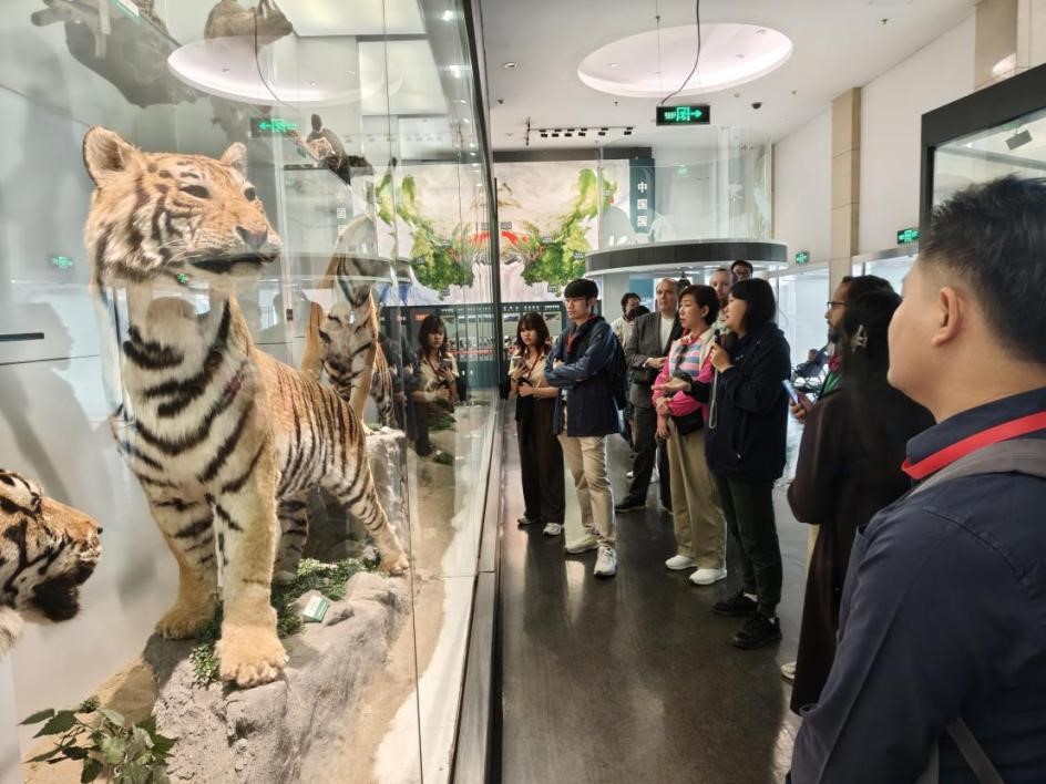 南宫娱乐·NG28(中国)官方网站